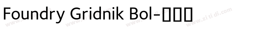 Foundry Gridnik Bol字体转换